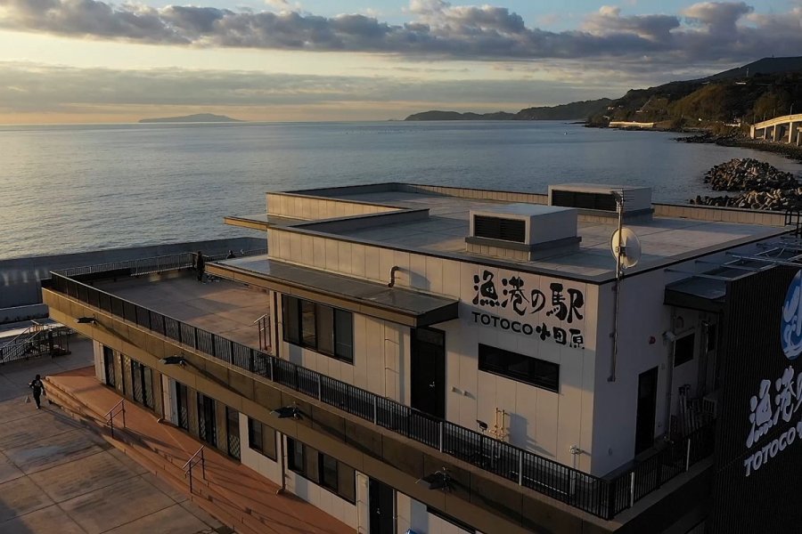 🐟 어항의 역 토토코 오다와라 (교코노에키 토토코 오다와라) 이미지 4